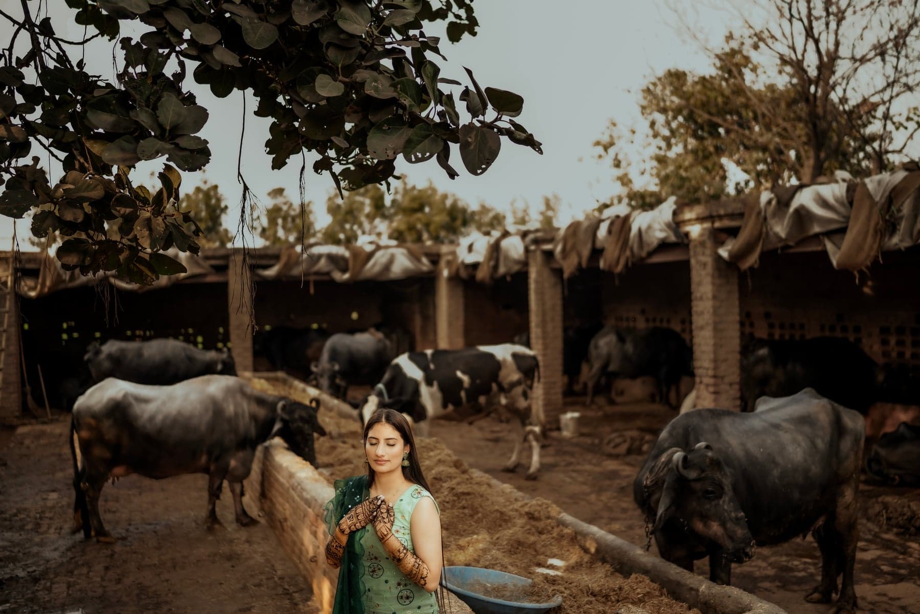A bride in a green dress standing quietly beside a countryside cattle yard